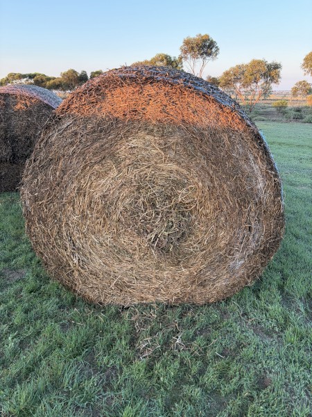 Vetch Hay 5x4 Rolls