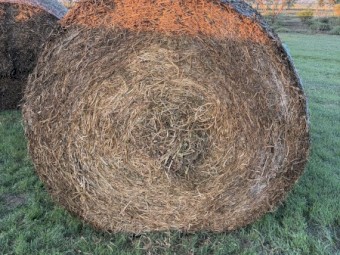 Vetch Hay 5x4 Rolls