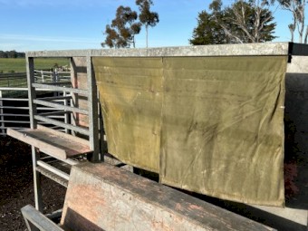 Crutching Race