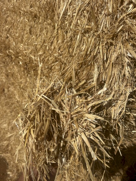 Oaten Chaff Trails