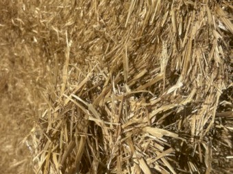 Oaten Chaff Trails