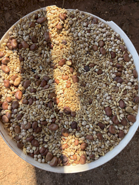 Seconds Feed Mix