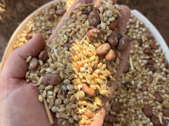 Seconds Feed Mix
