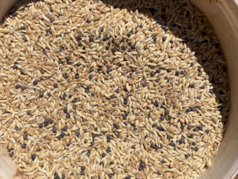 Seconds Feed Mix