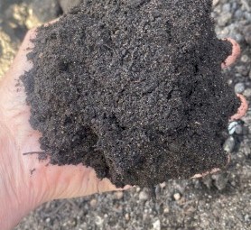 Organically Certified Screened Fogo Soil Conditioner
