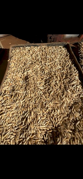 350mt Kowari Oats