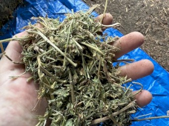 100mt Vetch Hay 8x4x3 Bales