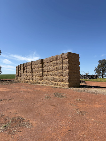 Barley Straw 460kg 8x4x3 Bales x 120