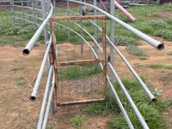 Cattle Yards and Race