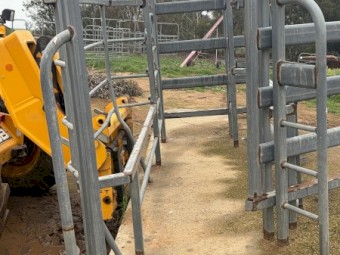Cattle Yards and Race