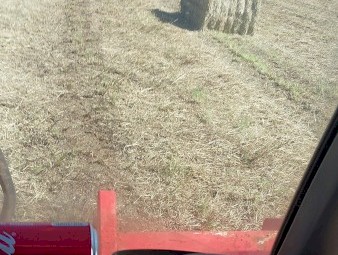 Endura Rhodes feed Hay