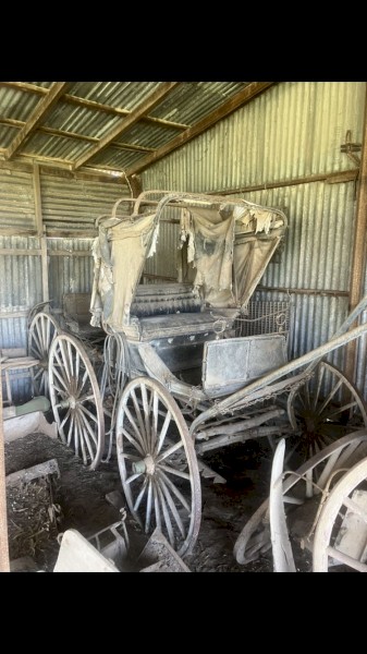 Horse Gig Buggies
