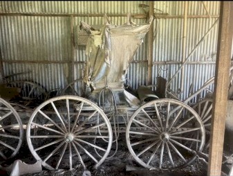 Horse Gig Buggies