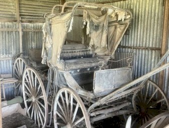 Horse Gig Buggies