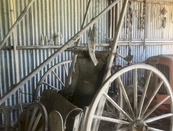 Horse Gig Buggies