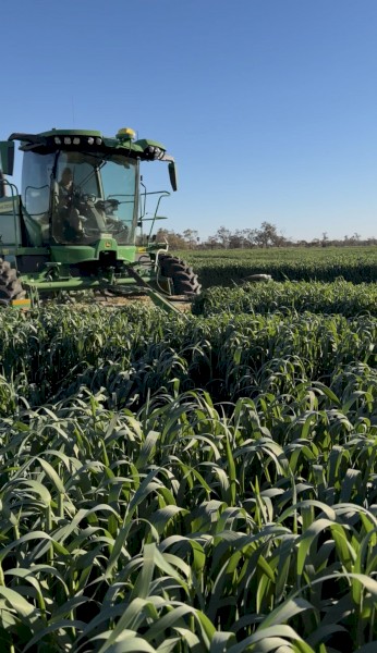 1000mt Oaten Hay 8x4x3 Bales