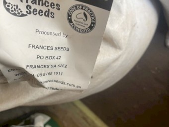 vetch seed (popany)