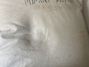 vetch seed (popany)