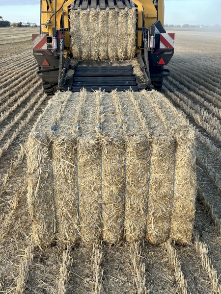 63mt Wheaten Straw 500kg 8x4x3 Bales
