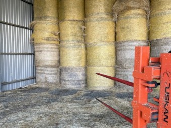 WANTED Teff and Lucerne Rounds or Big Squares