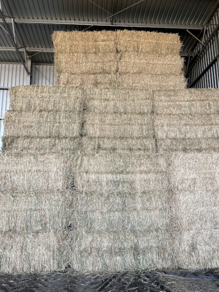 Wheaten Hay 8x4x3 Bales