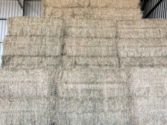 Wheaten Hay 8x4x3 Bales