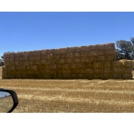 300 x Mixed Oaten/Wheaten Hay 560-575kg 8x4x3 Bales (Seconds)