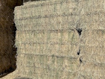 37mt Lucerne Hay 8x4x3 bales