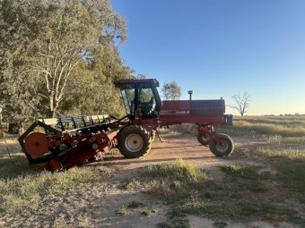 Case IH 8825 Windrower with 25ft Front