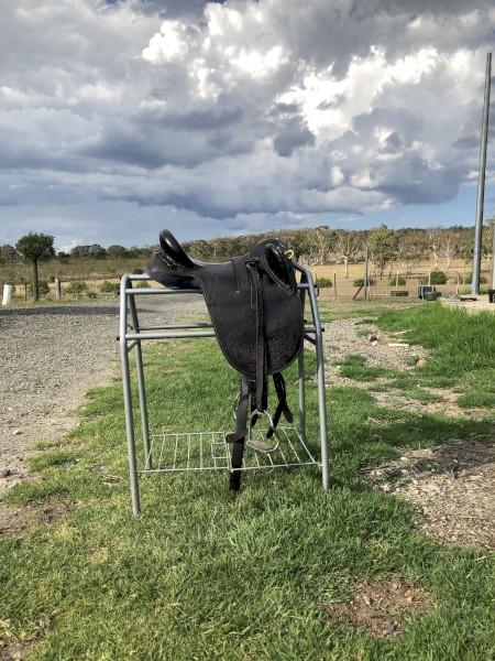 Saddle