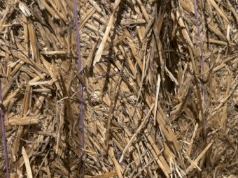 1500mt Windrowed Wheaten Straw 8x4x3 Bales