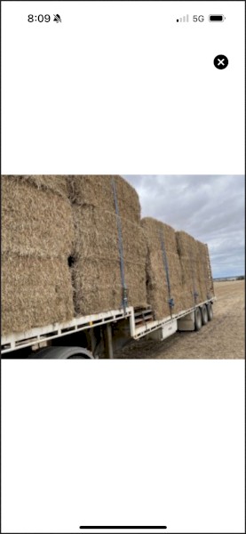 22-23 barley header trailings