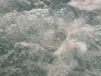 Crossbred wool