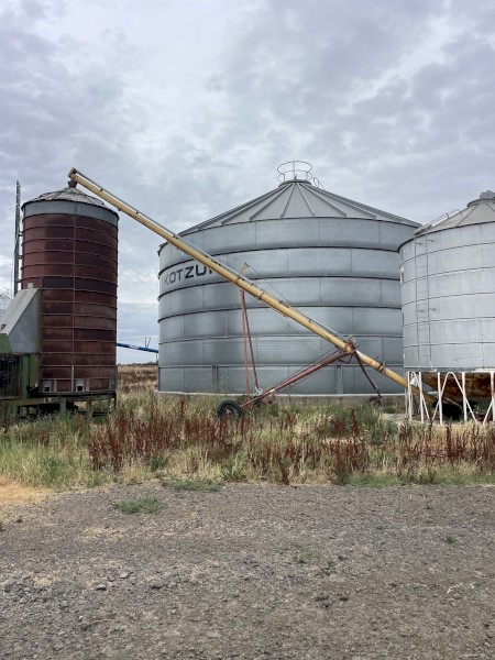 Westfield J208-46 Auger