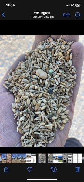 30mt Mixed Grain