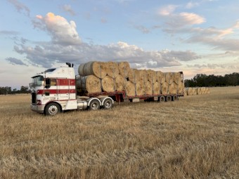 Ryegrass Hay 5x4 Round Bales