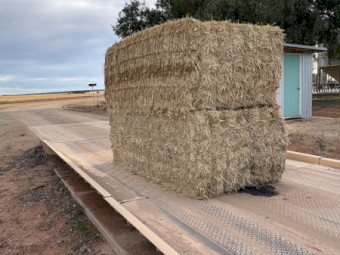 1000mt Barley Straw 8x4x3 Bales (New Season)
