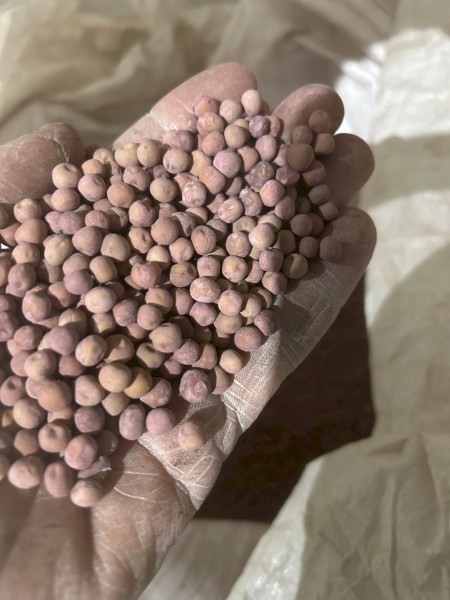 1mt Kaspa Pea Seed
