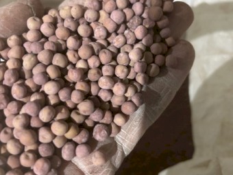 1mt Kaspa Pea Seed