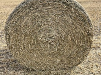 330 x Wheaten Hay 5x4 Rolls