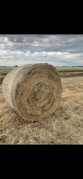 60mt Vetch Hay Round Bales
