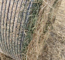 60mt Vetch Hay Round Bales