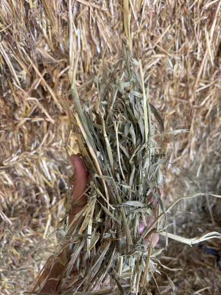 200mt Oaten Hay 8x4x3 Bales