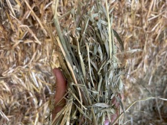 200mt Oaten Hay 8x4x3 Bales