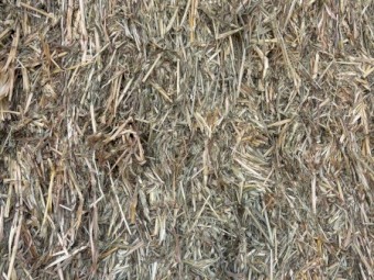 200mt Oaten Hay 8x4x3 Bales