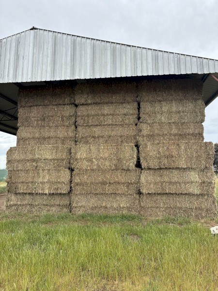 25/26 Vetch Hay