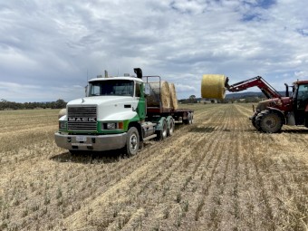 Oaten Hay