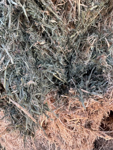 120mt Vetch Hay 650kg 8x4x3 Bales