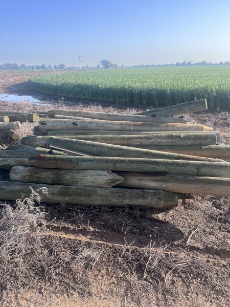 Pine Posts