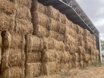 Oaten Hay 8x4x3 Bales
